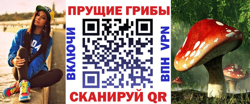 наркотики  ОМГ ОМГ зеркало  Галлюциногенные грибы мухоморы  Приозерск 